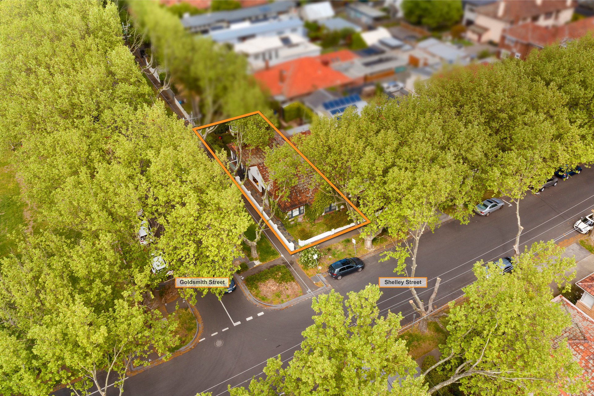 31 Shelley Street, Elwood image 8