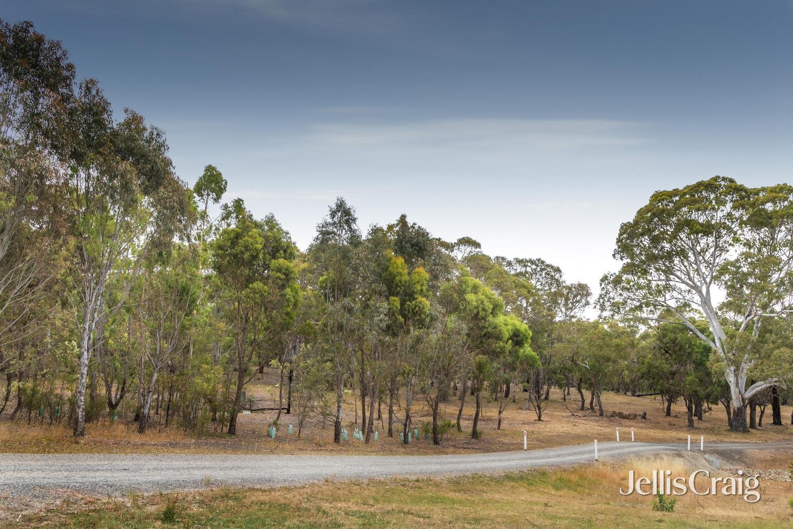 31 Silver Wattle Street, Yallambie image 15