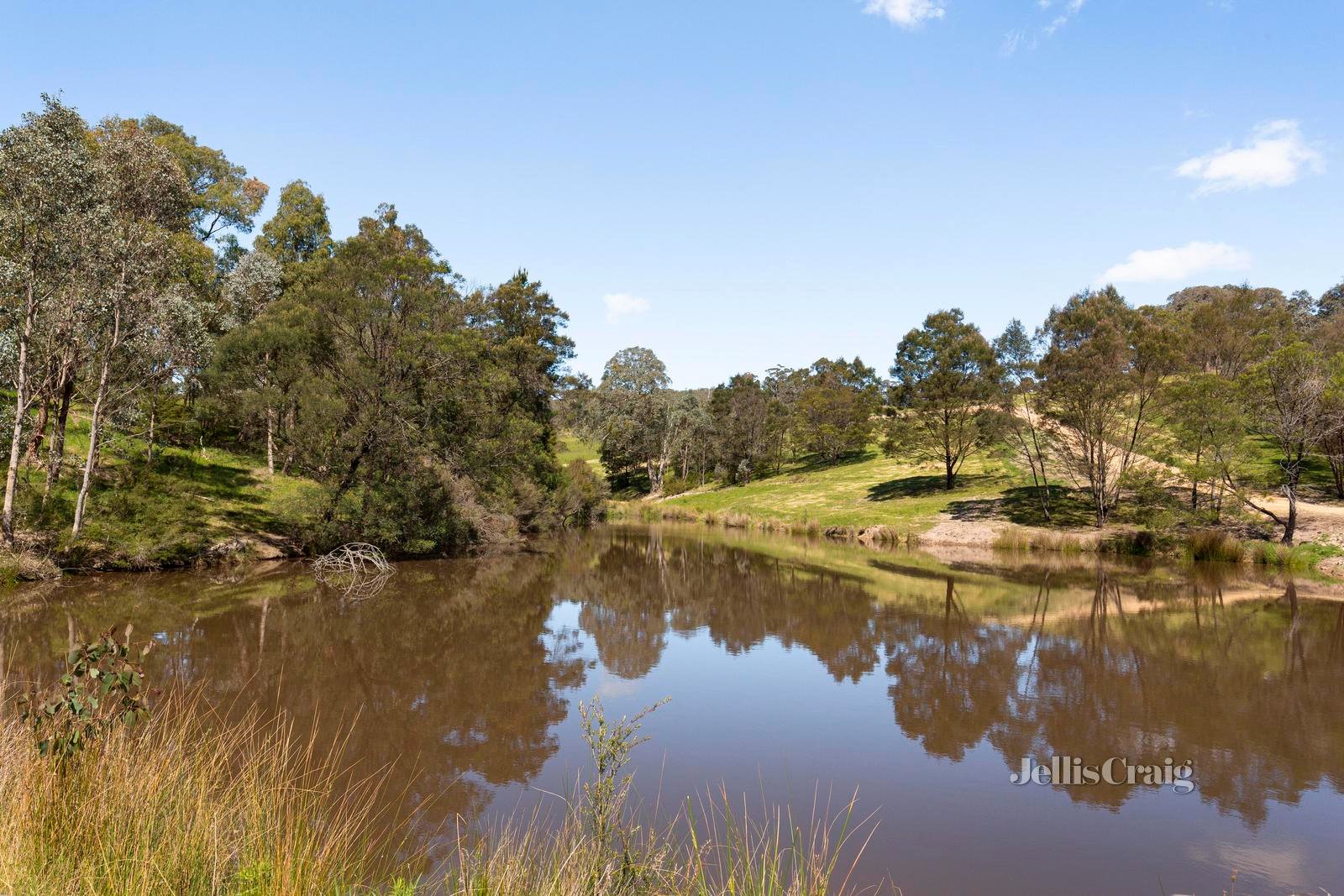 31 Tarra Place, St Andrews image 5