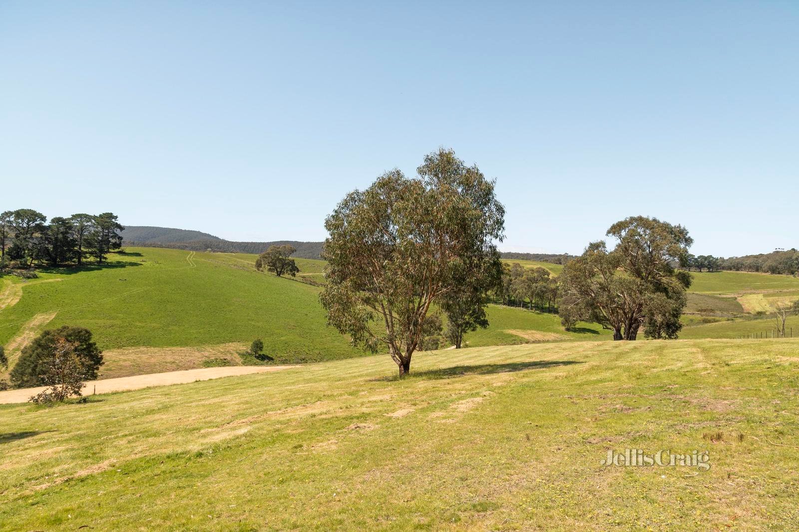 31 Tarra Place, St Andrews image 7