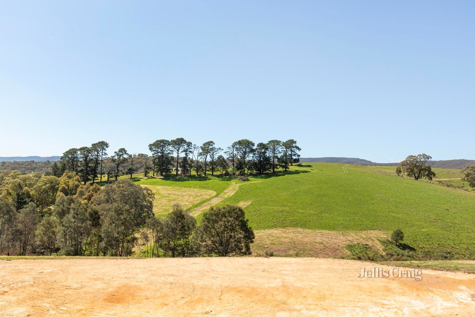 31 Tarra Place, St Andrews image 9