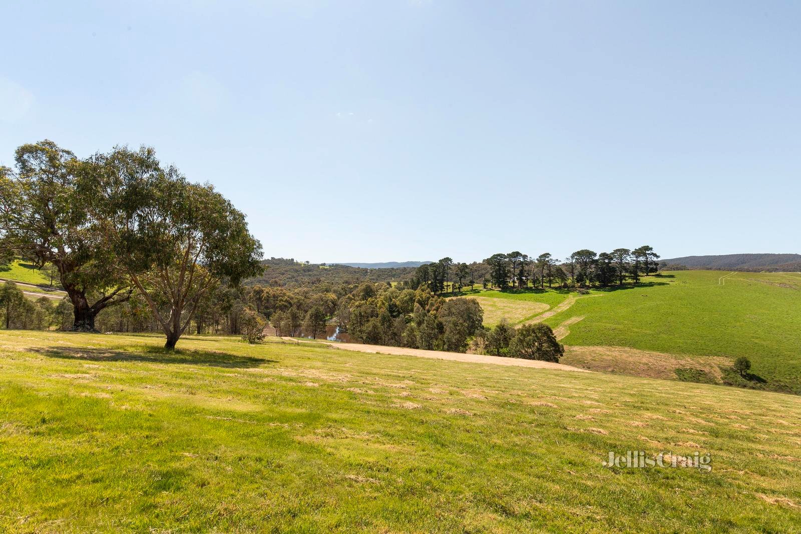 31 Tarra Place, St Andrews image 10