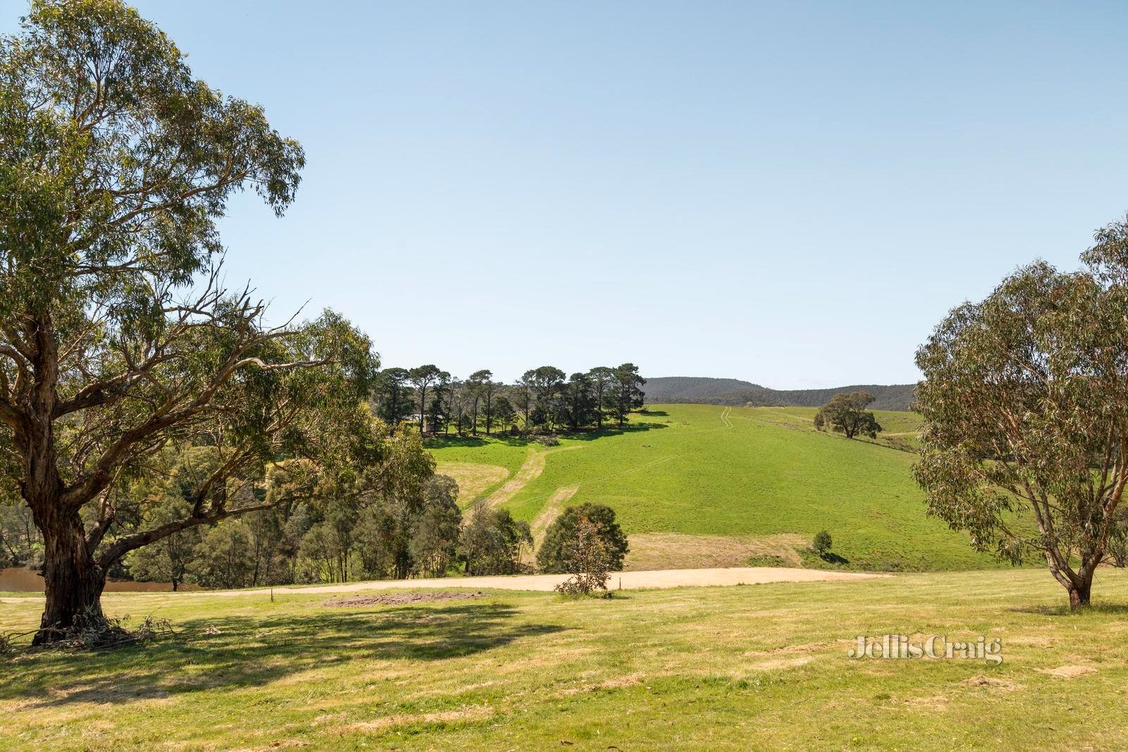 31 Tarra Place, St Andrews image 11