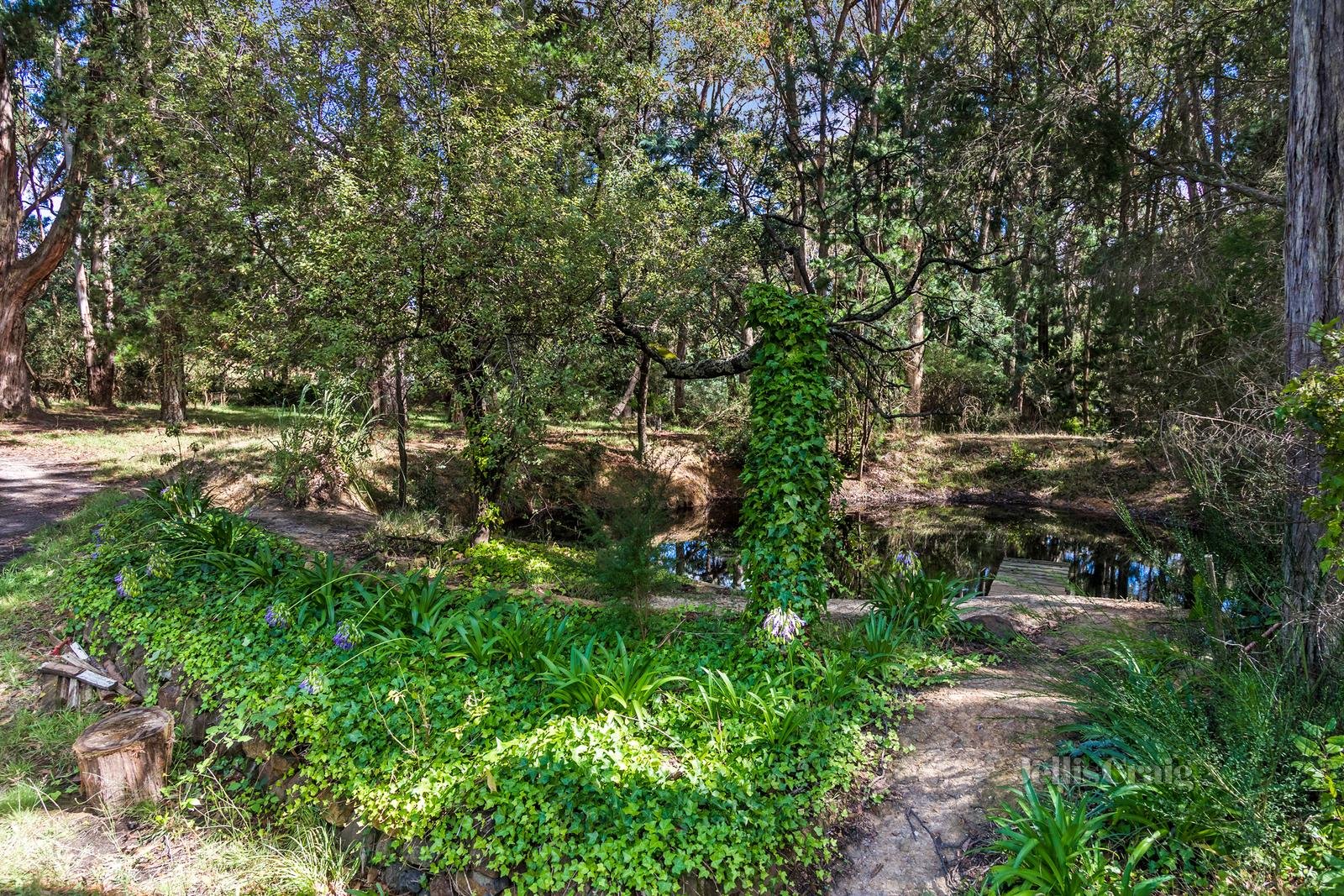 310 Ashbourne Road, Woodend image 19