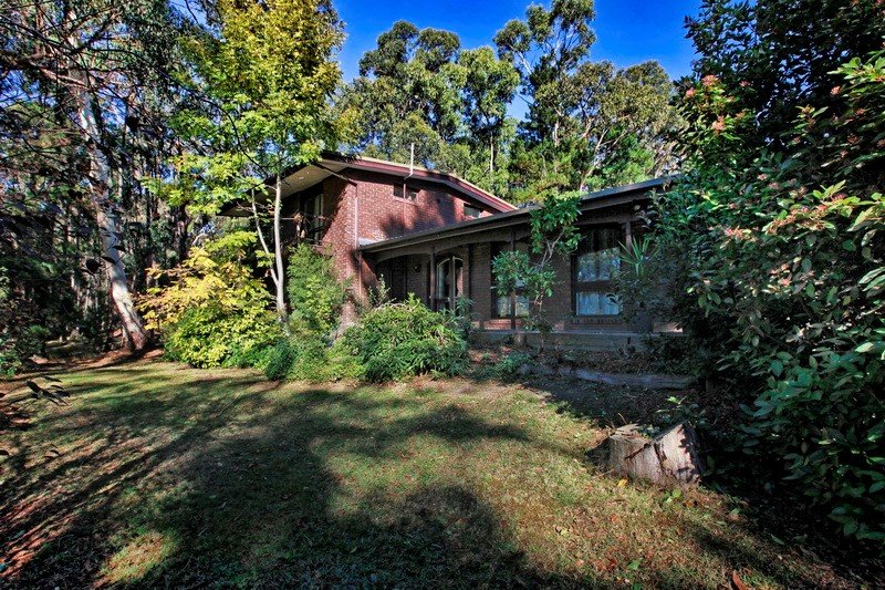 Property Gallery - Main Image