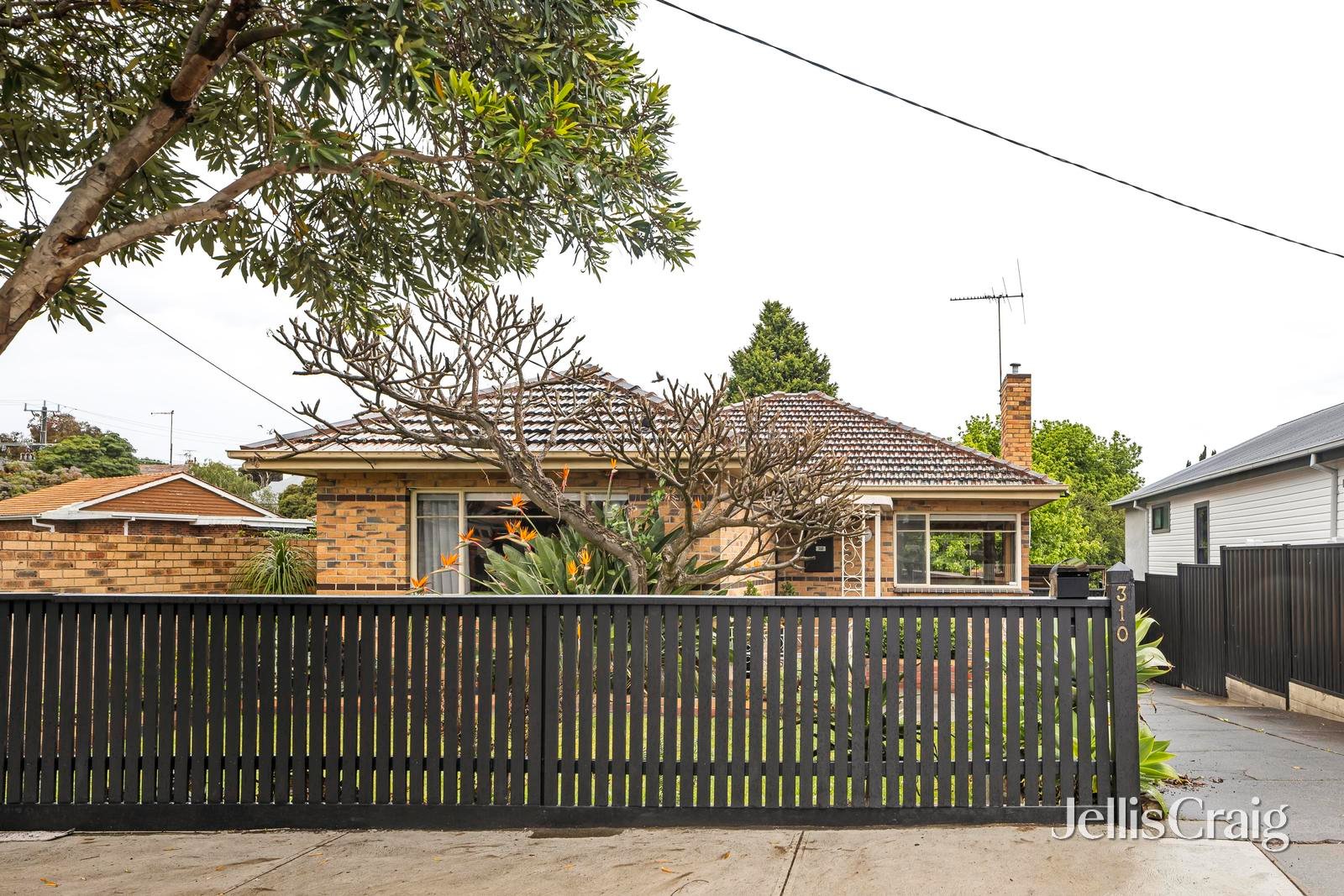 310 Moreland Road, Brunswick West image 11