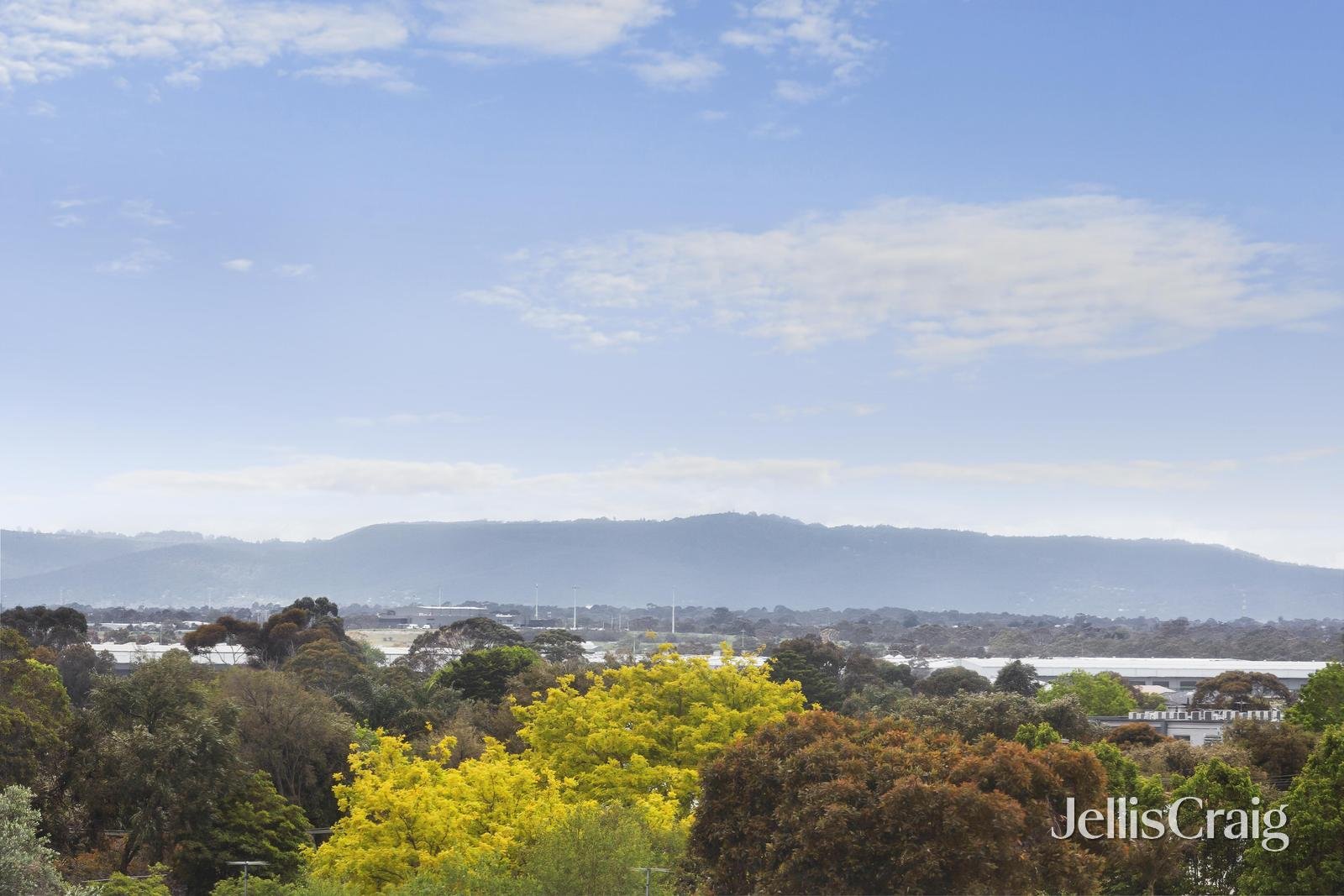 3/10 Olive Grove, Parkdale image 11