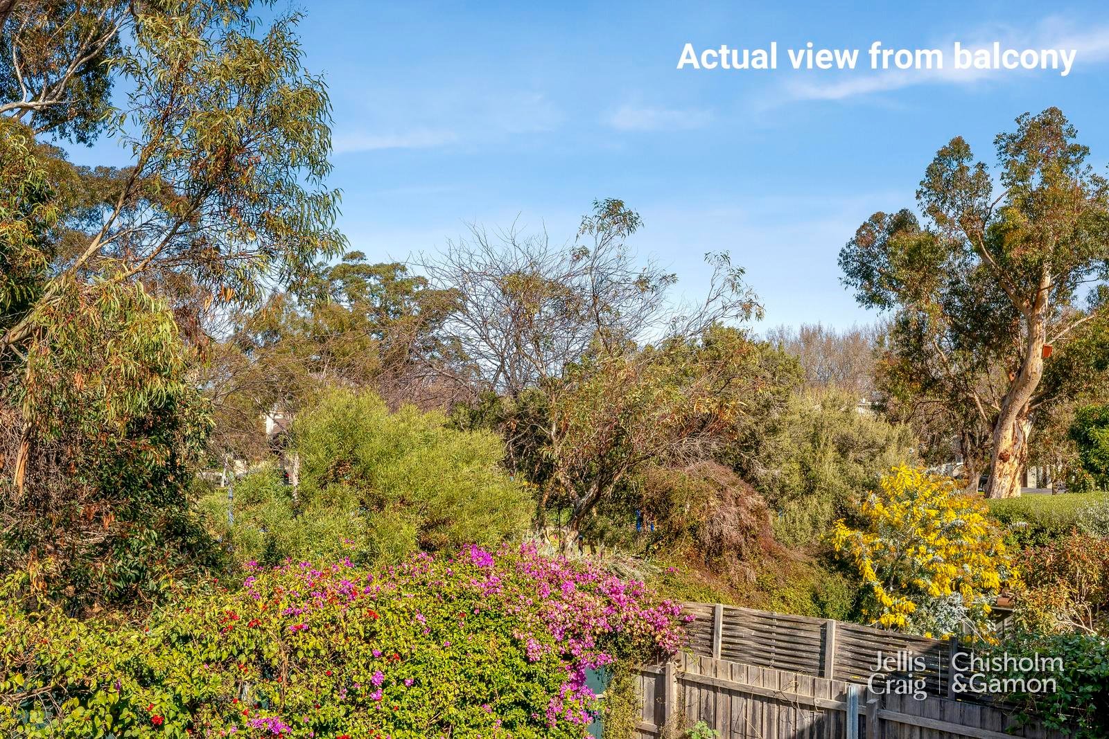 3/11 Gordon Avenue, Elwood image 7