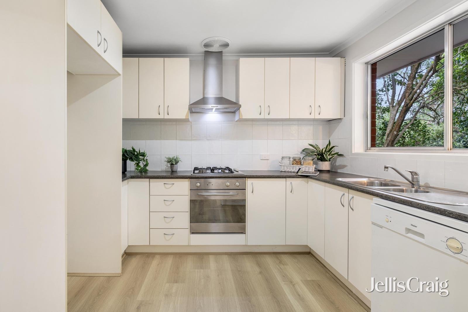 3/11 Ian Grove, Burwood image 6