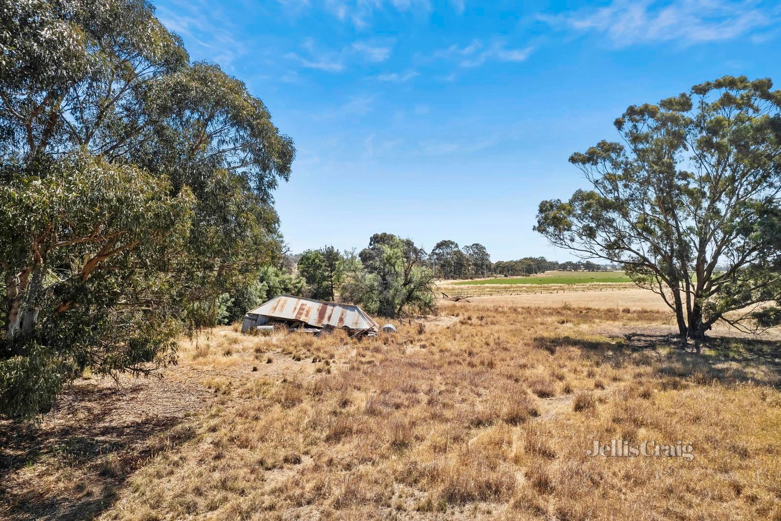 3110 Pyrenees Highway, Newstead image 3