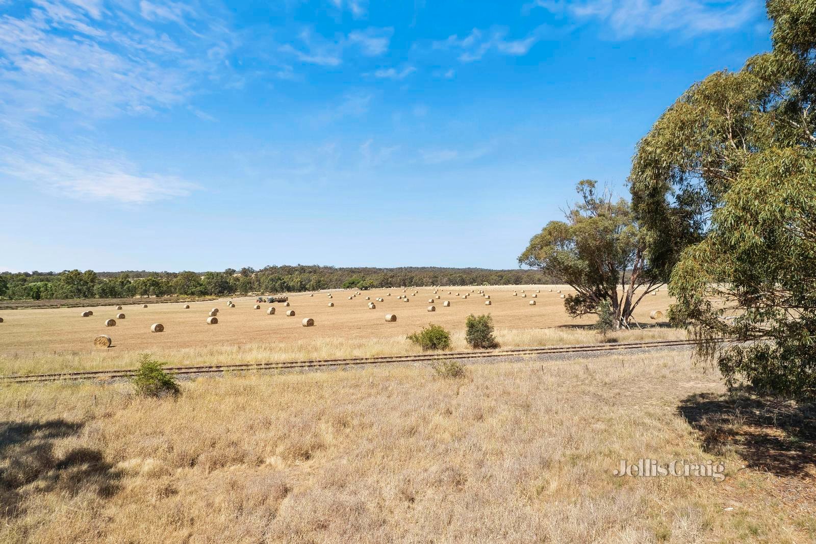 3110 Pyrenees Highway, Newstead image 7
