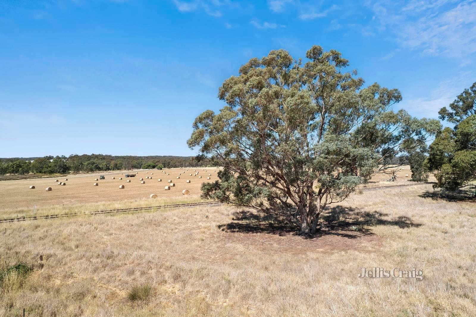 3110 Pyrenees Highway, Newstead image 8