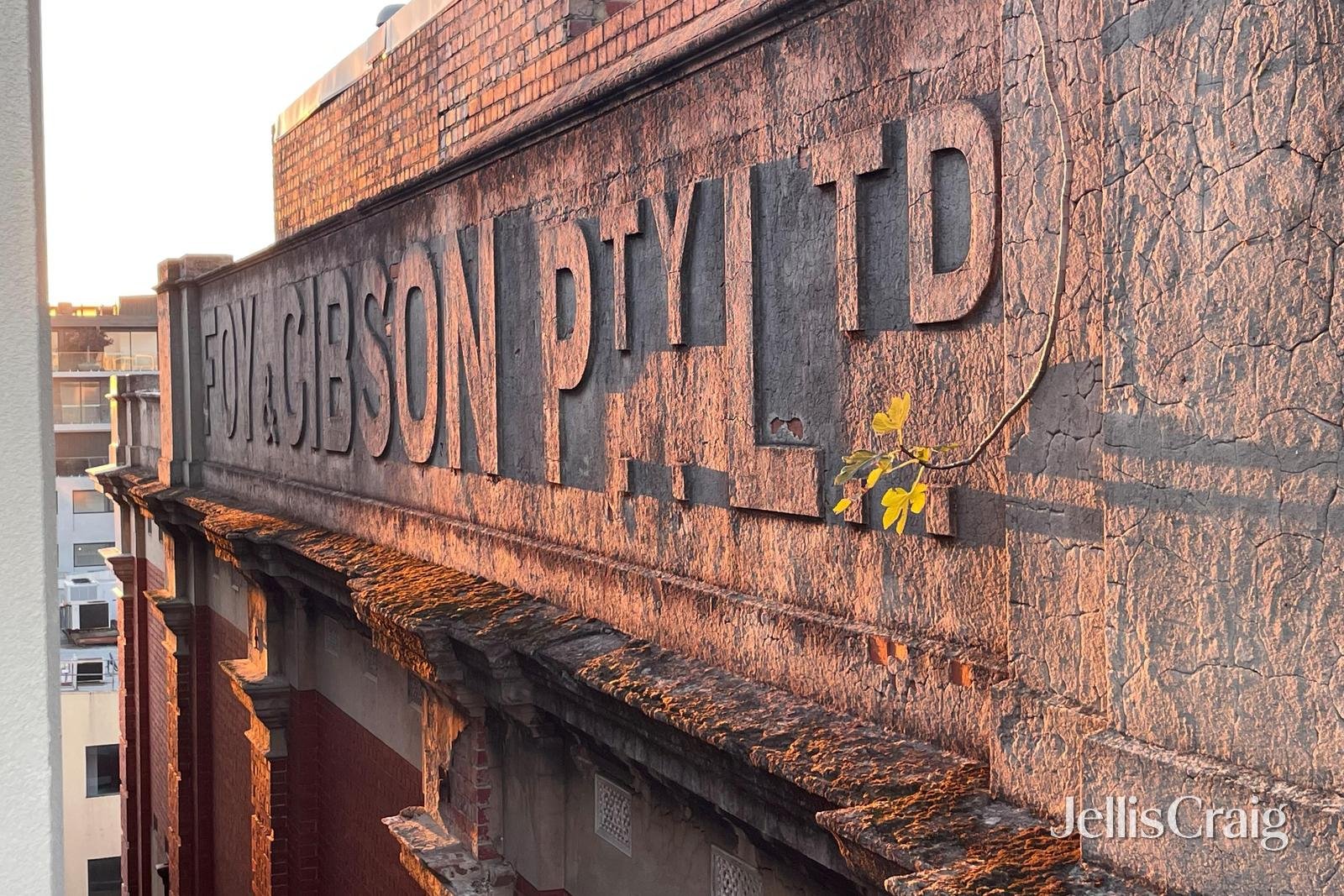 31/115 Oxford Street, Collingwood image 5