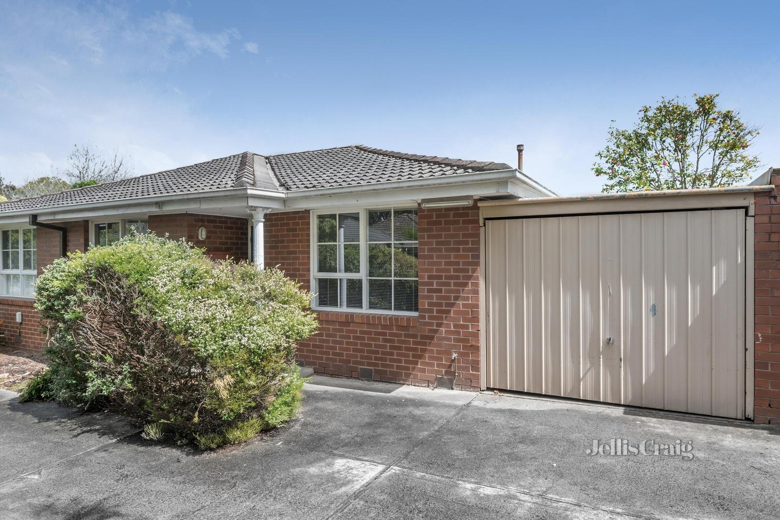3/13 City Road, Ringwood image 1