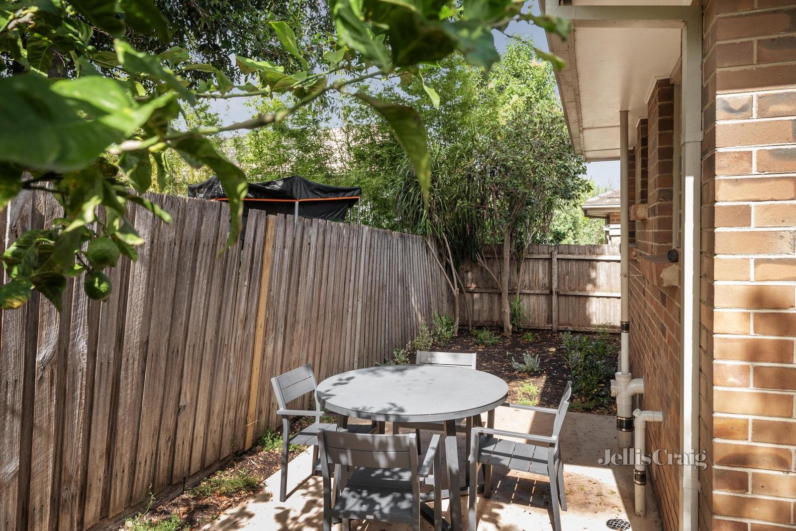 3/131 Rowell Avenue, Camberwell image 4