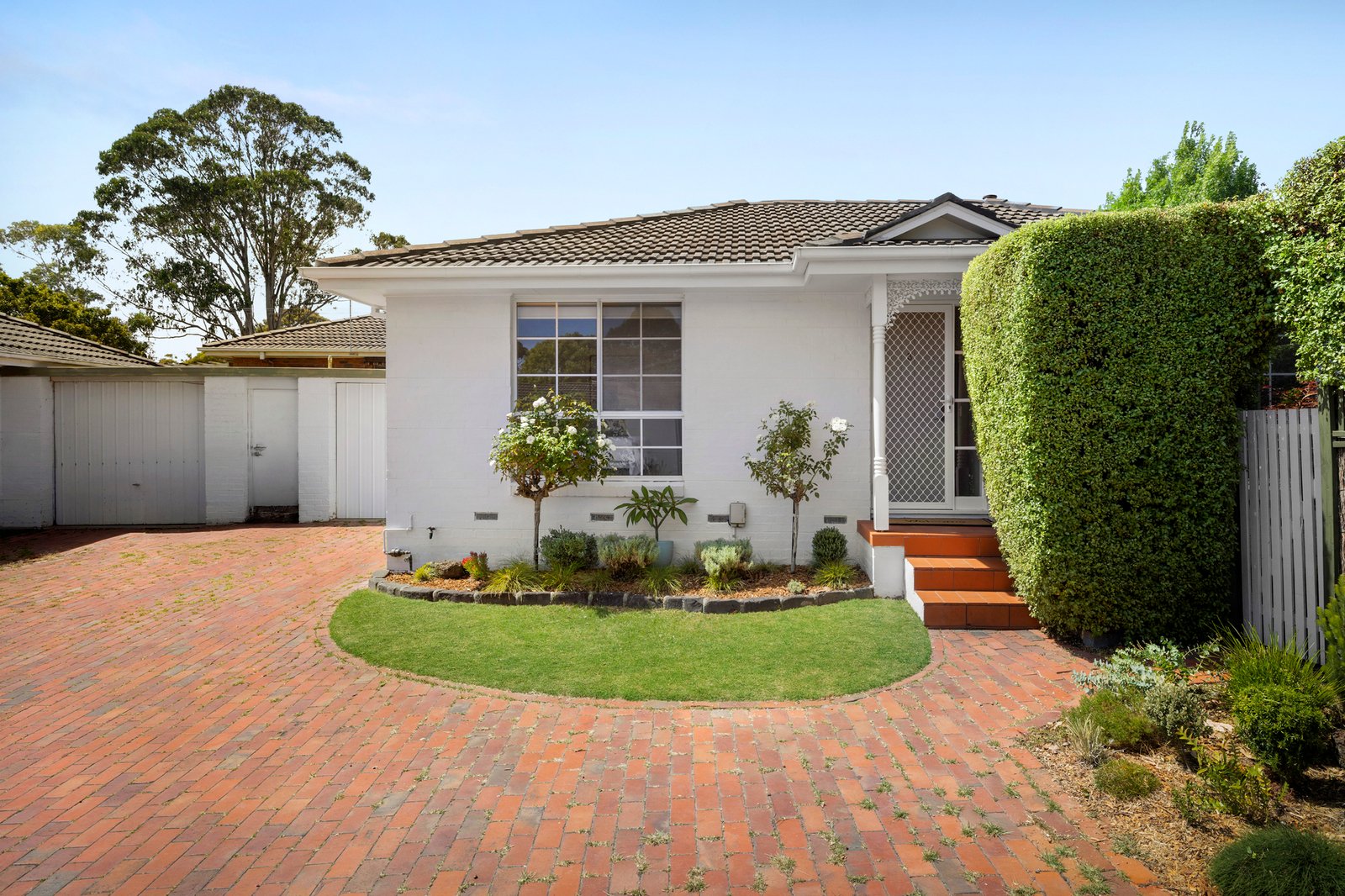 3/14 Conway Street