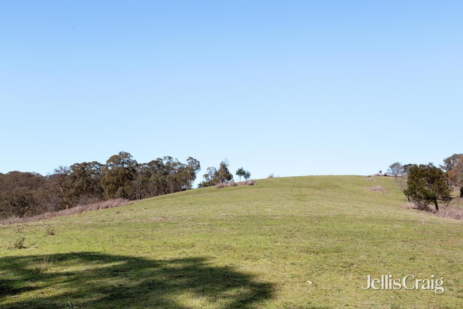 315 Kangaroo Ground Wattle Glen Road, Kangaroo Ground image 5
