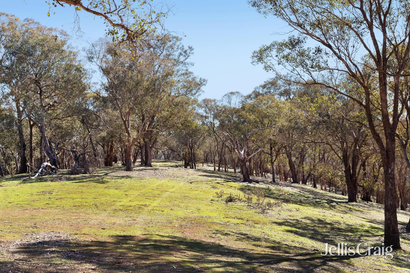 315 Kangaroo Ground Wattle Glen Road, Kangaroo Ground image 8