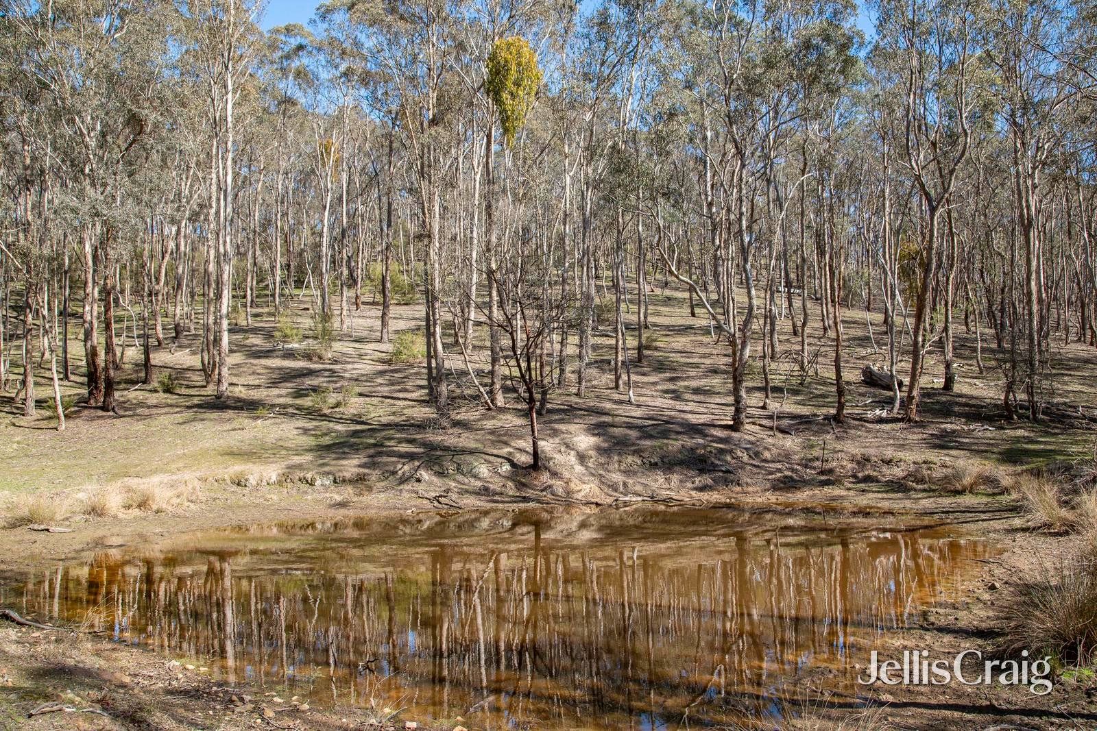 315 Kangaroo Ground Wattle Glen Road, Kangaroo Ground image 9