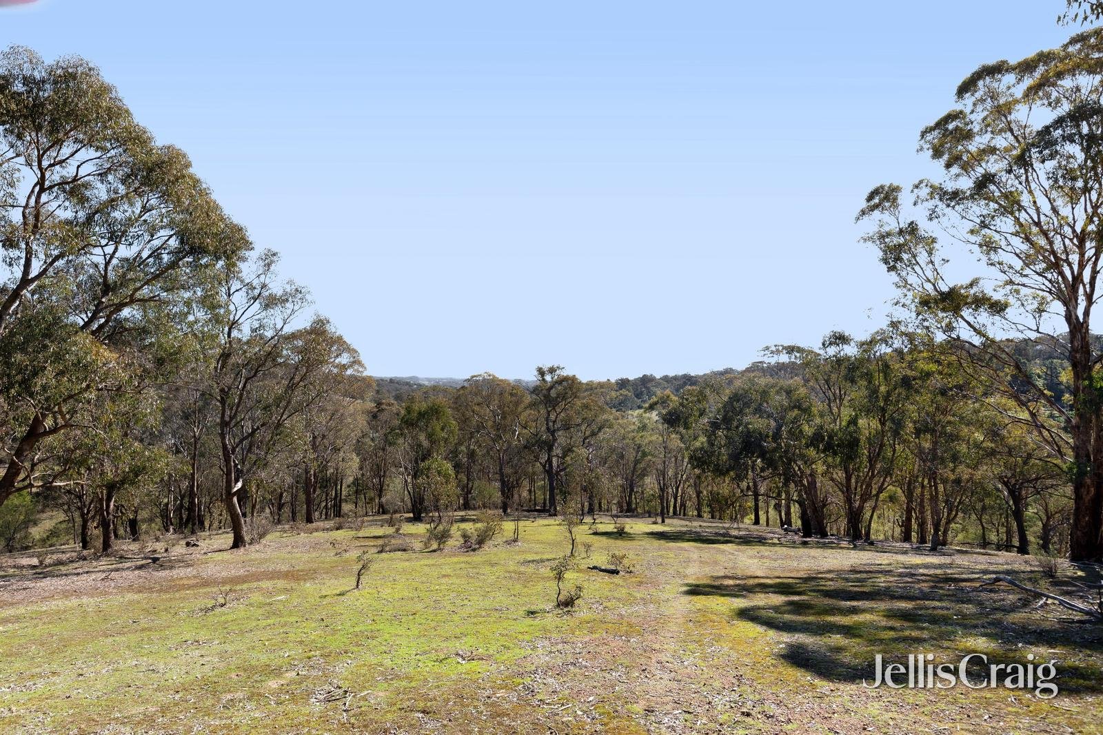 315 Kangaroo Ground Wattle Glen Road, Kangaroo Ground image 12