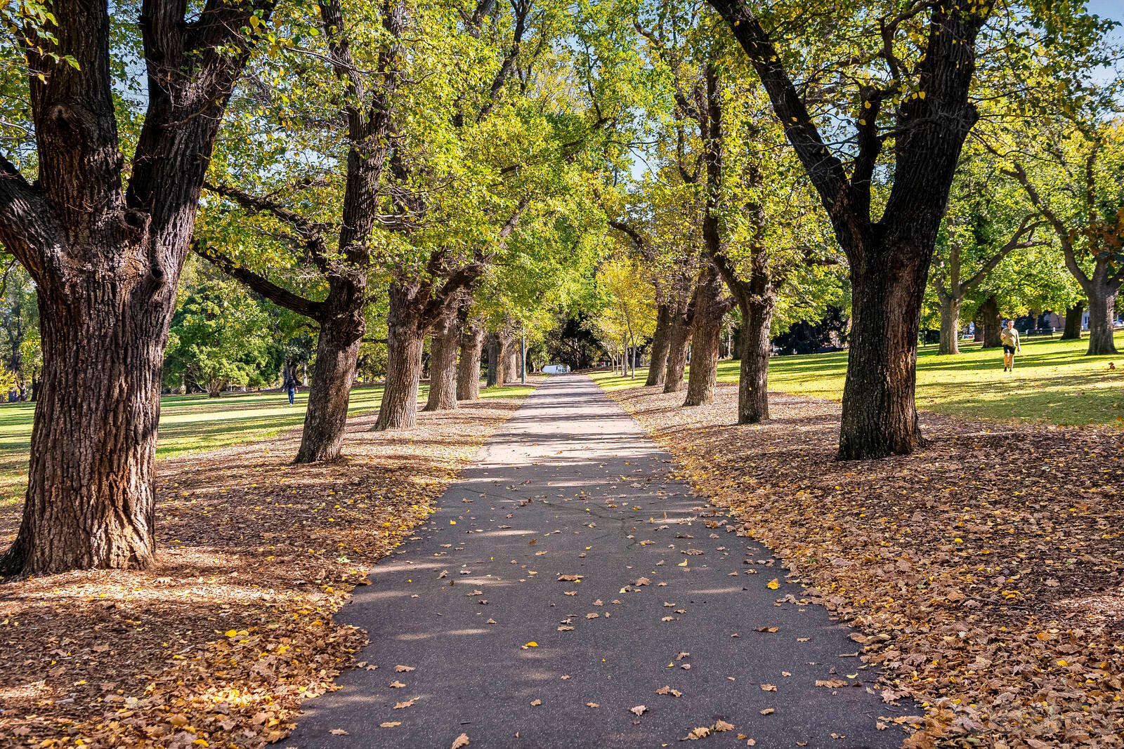 31 / 631 Punt Road South Yarra