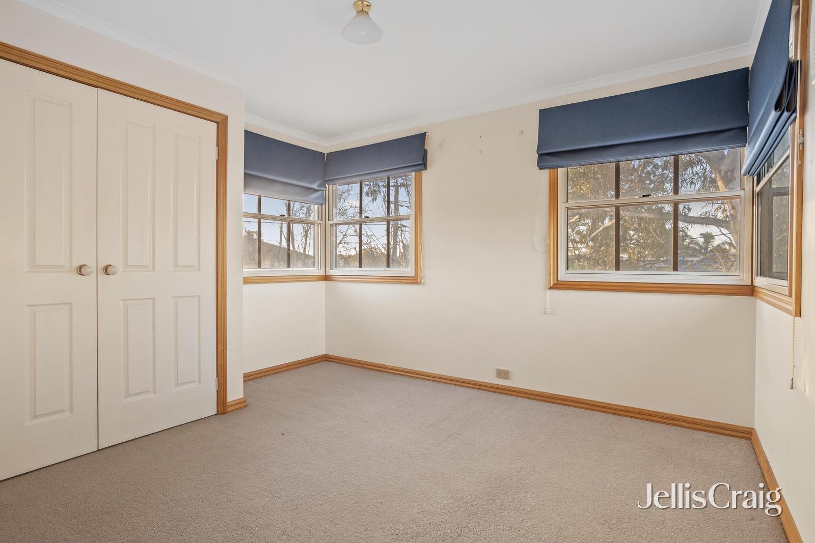 317 Auburn Road, Hawthorn image 12
