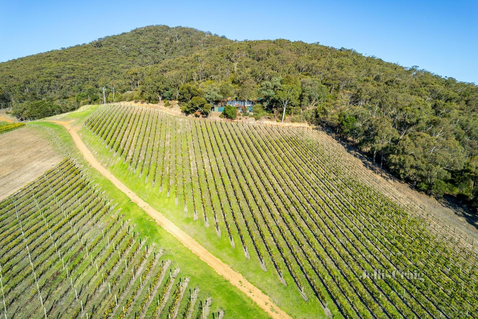 31A Maddens Lane, Gruyere image 2