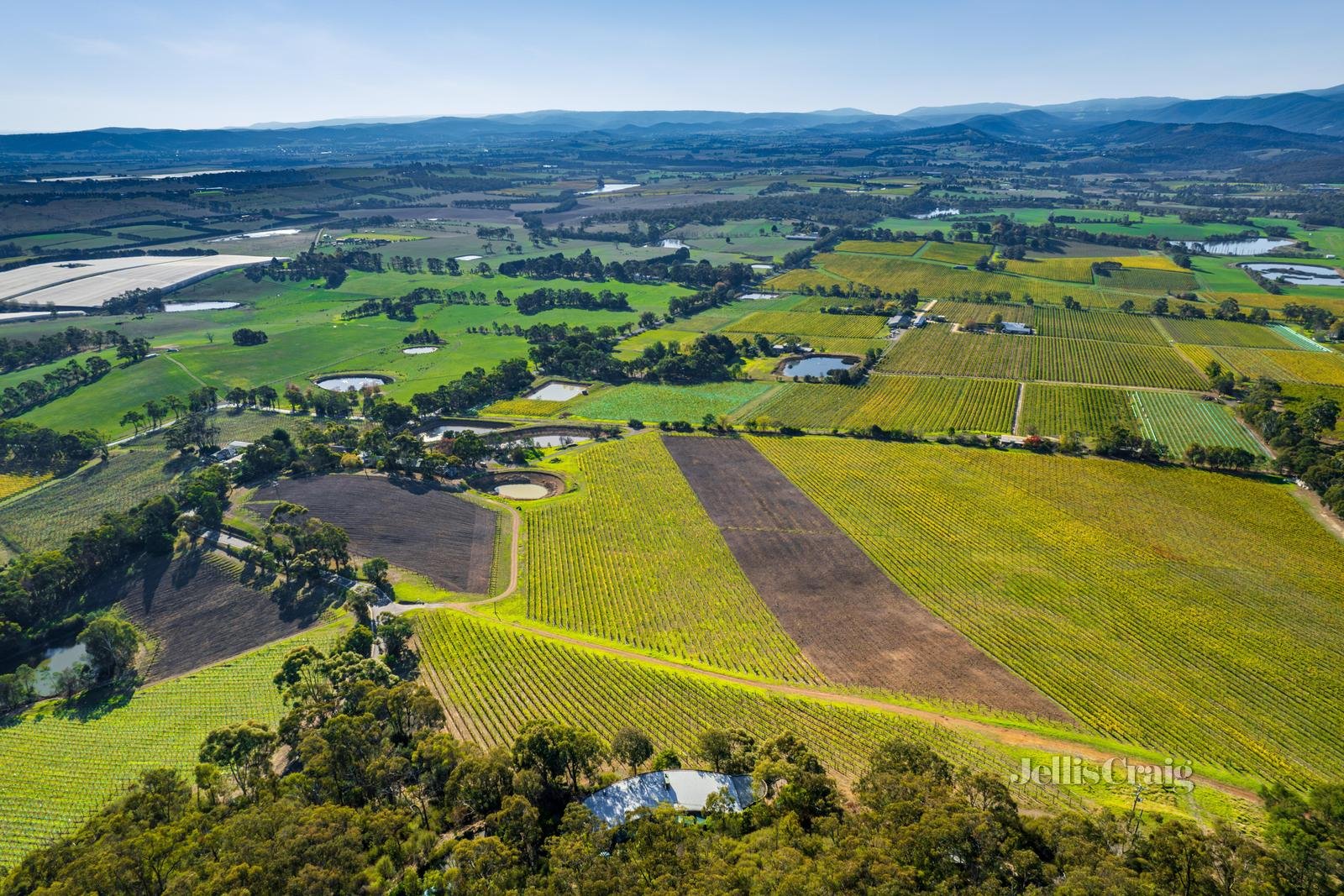 31A Maddens Lane, Gruyere image 22