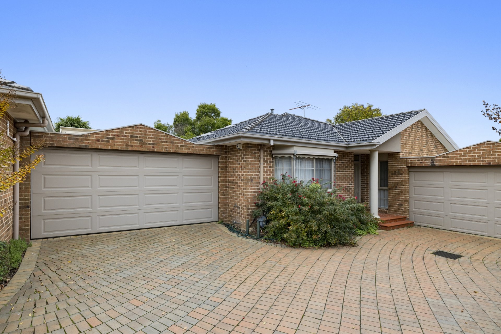 3/2-4 Flora Grove, Forest&nbsp;Hill image 1