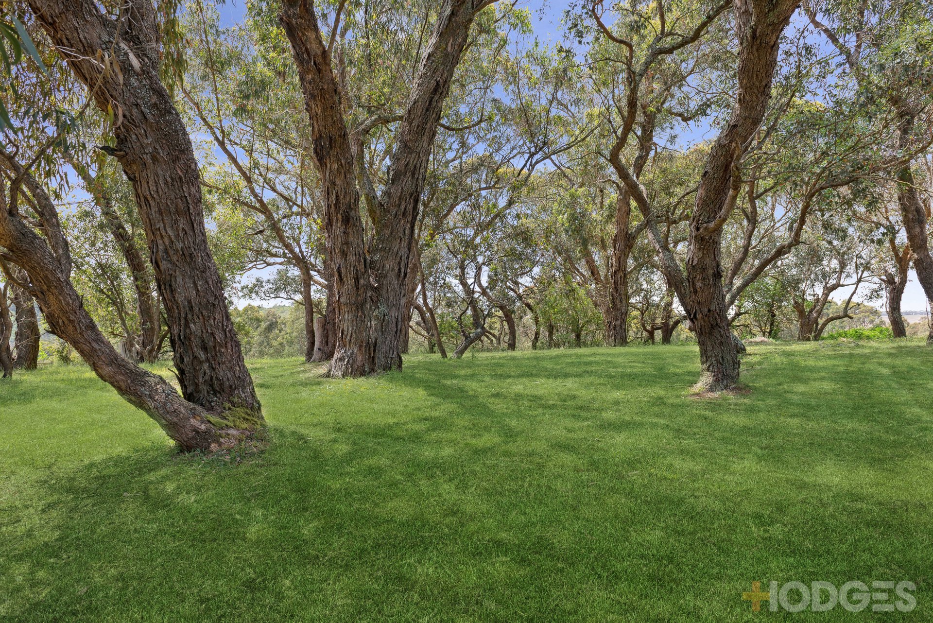 32 Baden Drive Wandong