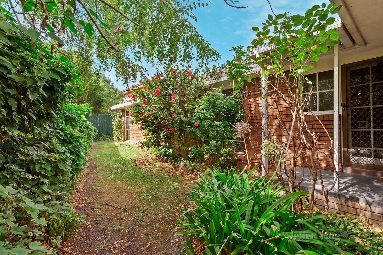 32 Bunker Crescent, Glen Waverley image 6