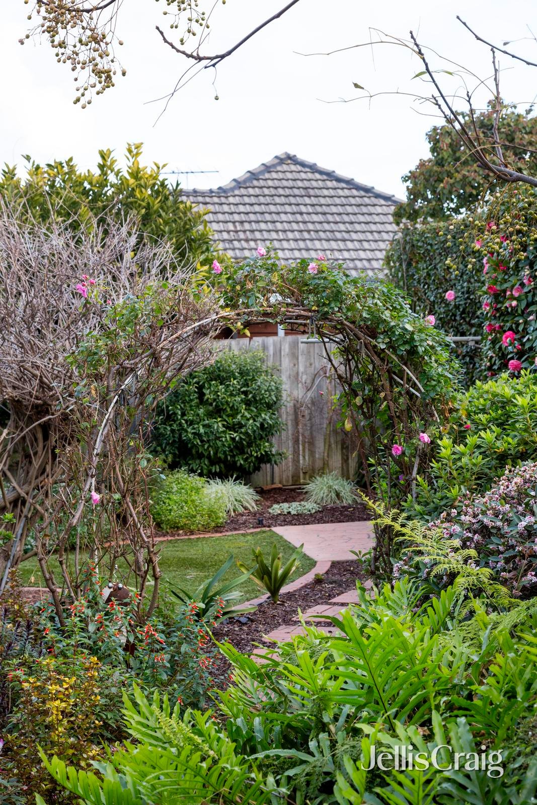 32 Curtis Avenue, Watsonia image 16