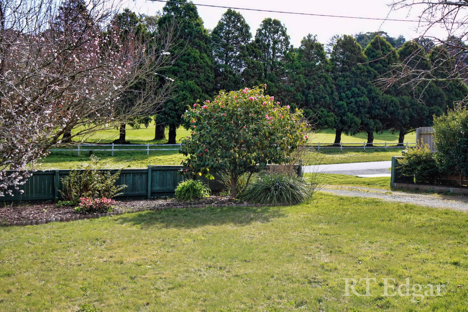 Property Gallery Thumbnail 2