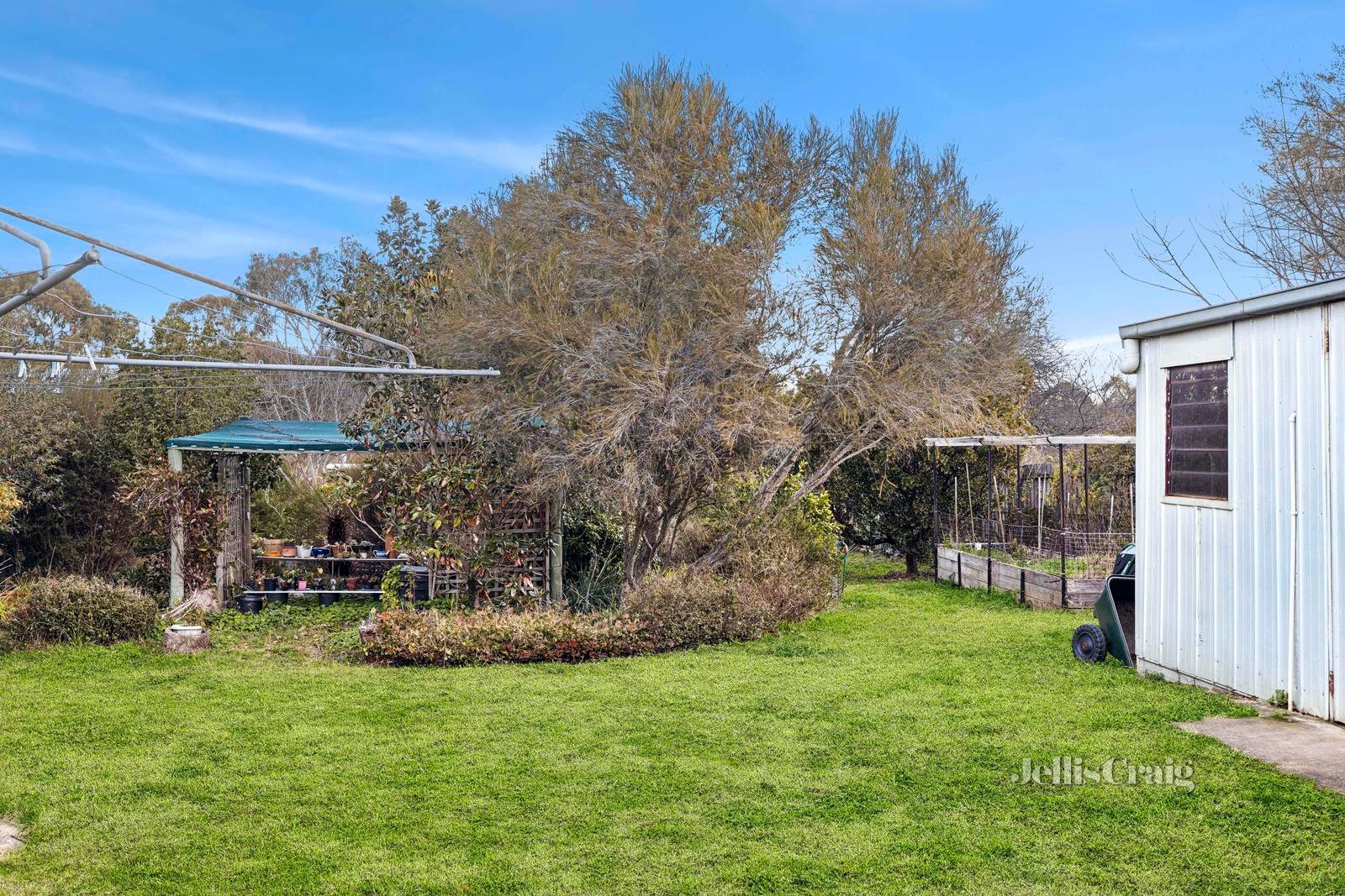 32 Moscript Street, Campbells Creek image 3