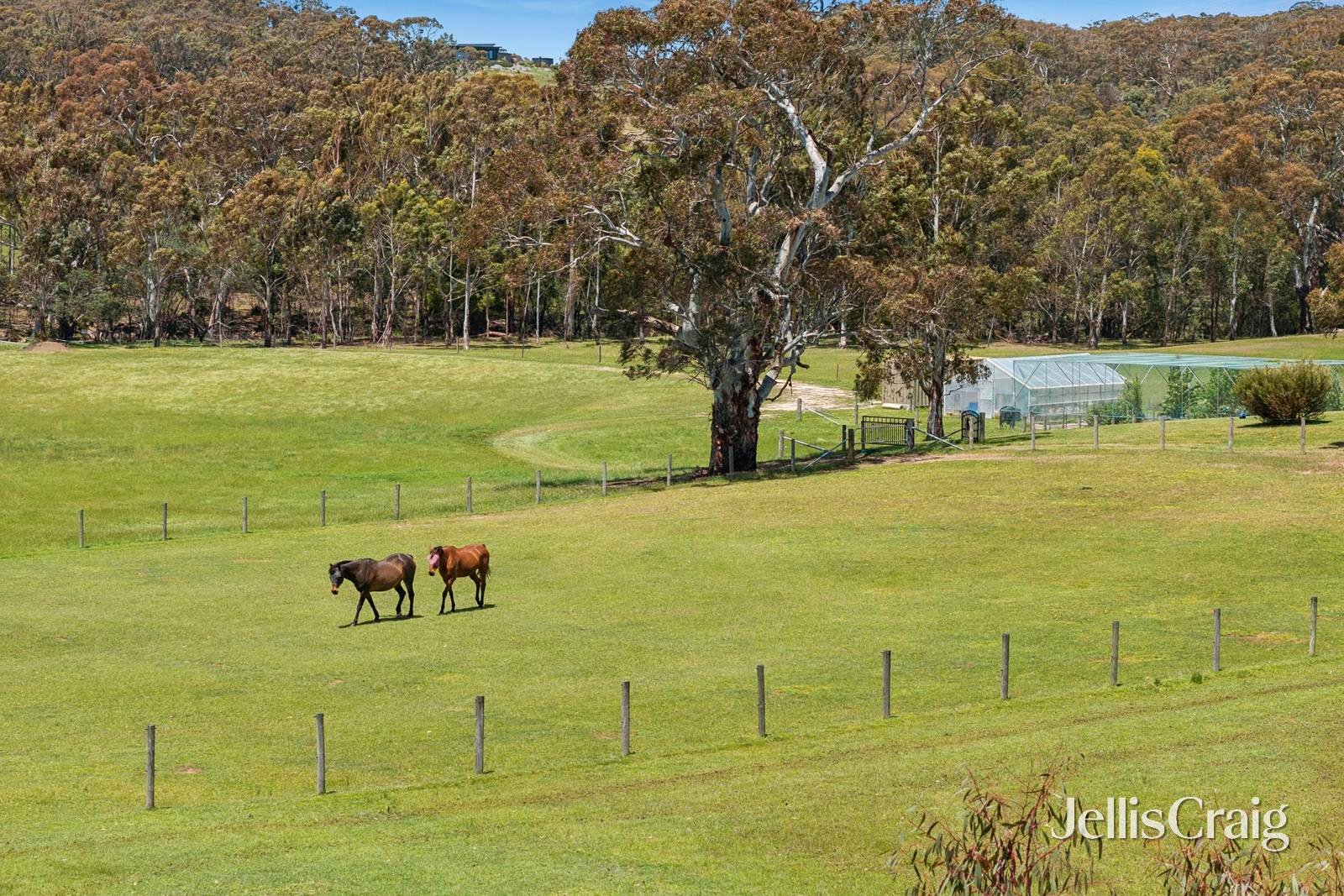321 Old Drummond Road, Taradale image 21