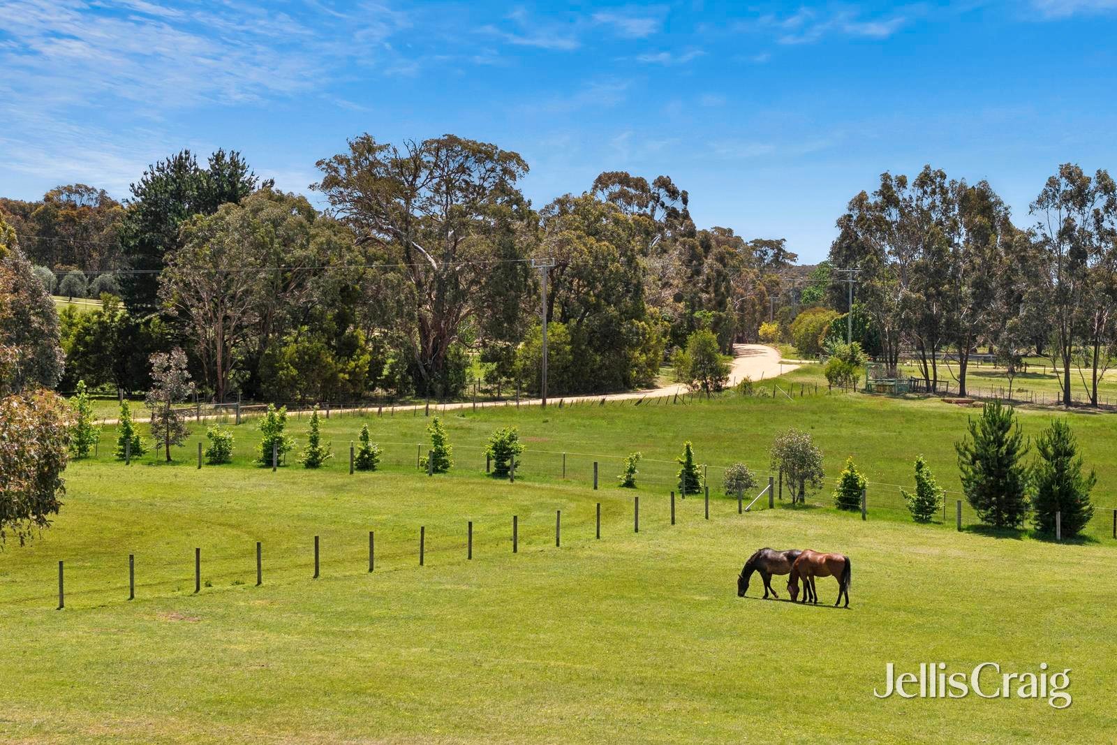 321 Old Drummond Road, Taradale image 22