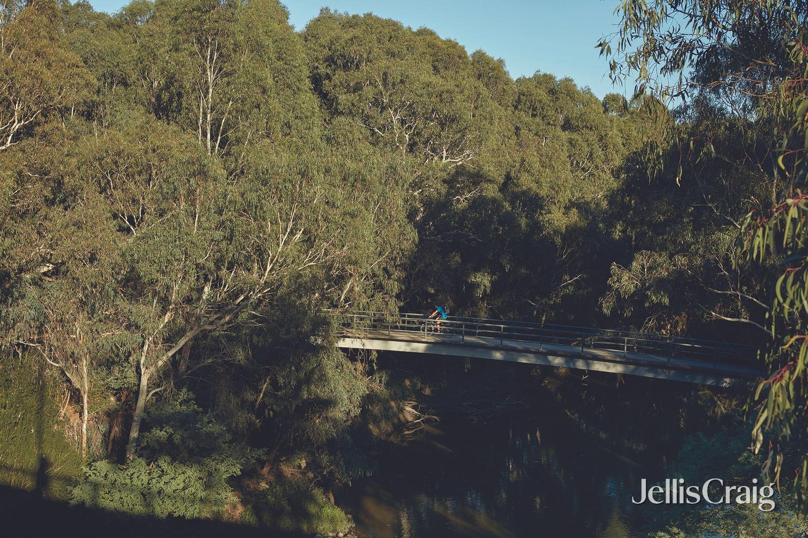 3/21 Wilfred Road, Ivanhoe East image 18