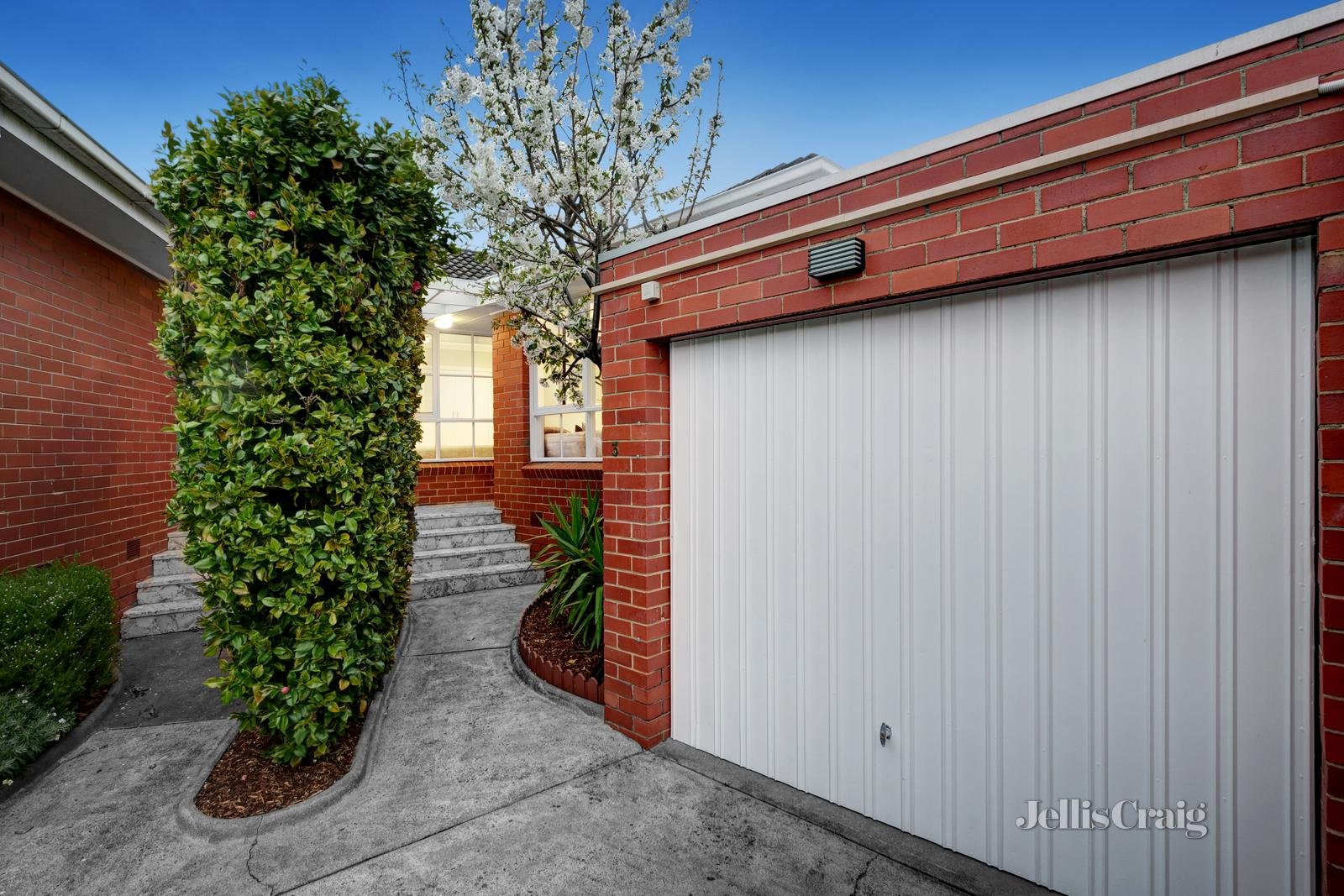 3/23 Clyde Street, Surrey Hills image 3
