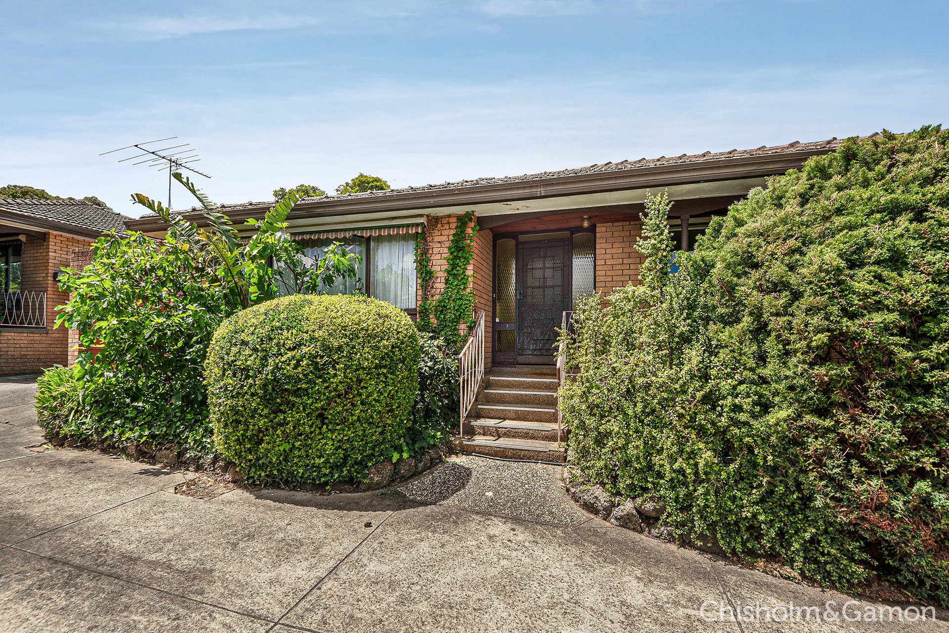 3/232 Belmore Road, Balwyn North image 1