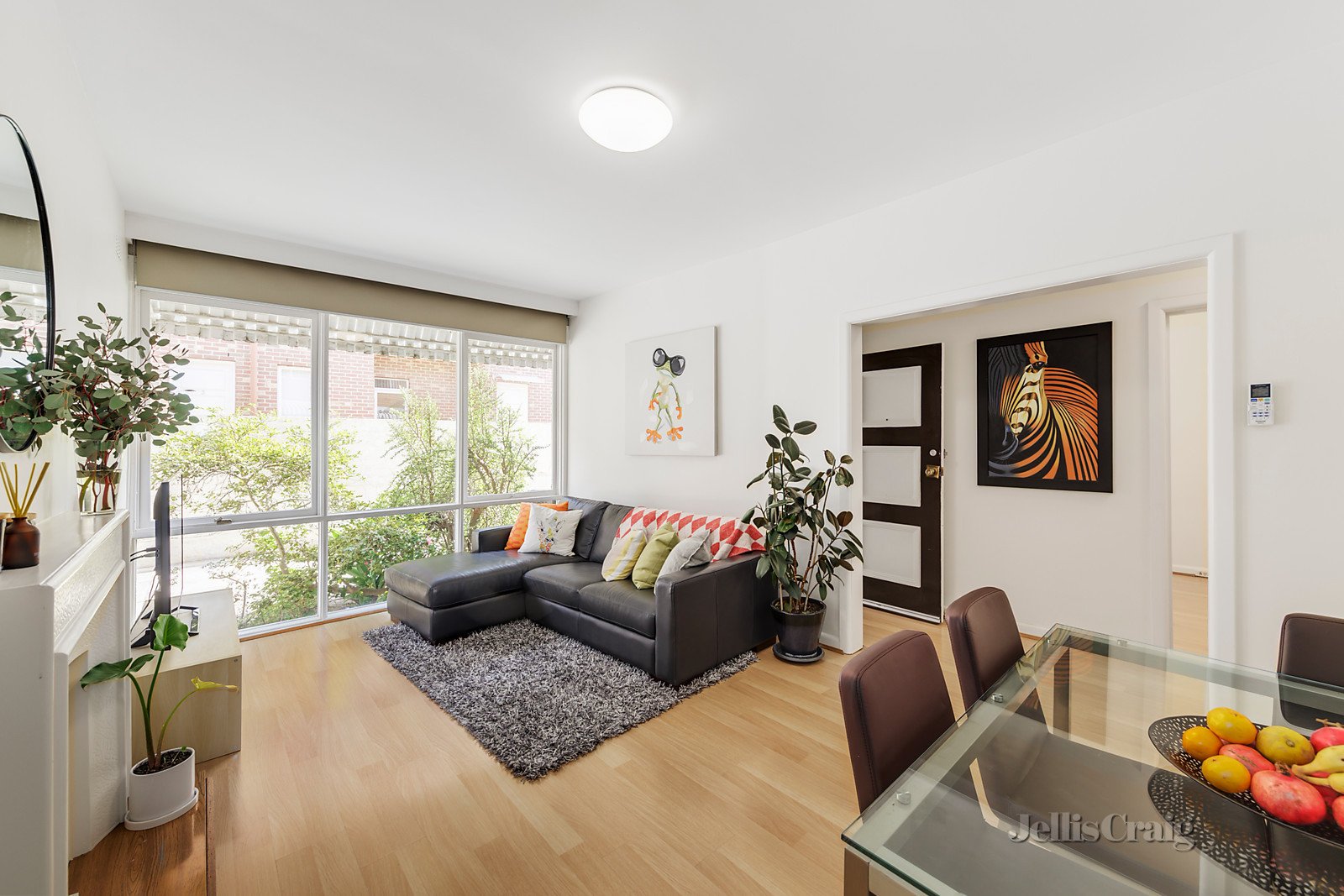 3/243 Riversdale Road, Hawthorn East image 2