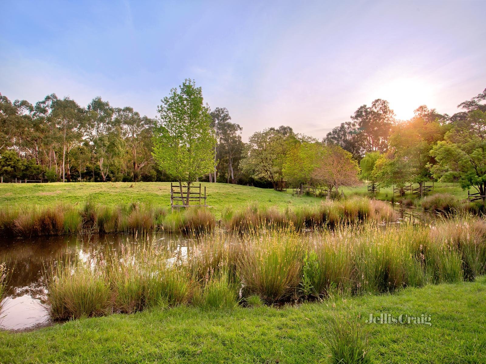 325 Hurstbridge-Arthurs Creek Road, Nutfield image 3