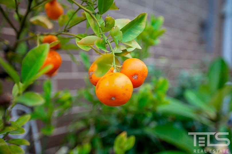 3/264 Melrose Drive, Tullamarine image 10