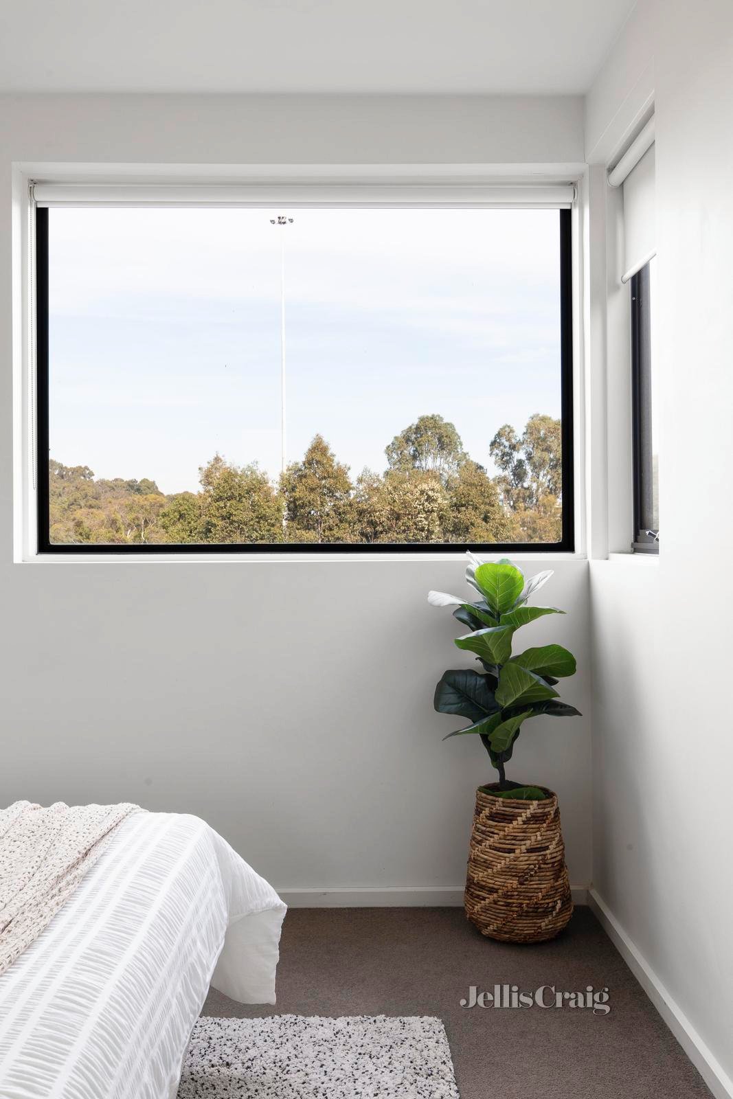 3/270 Alexandra Parade East, Clifton&nbsp;Hill image 6