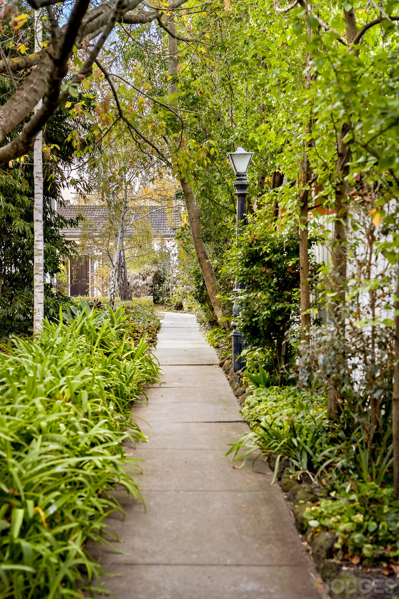 3 / 29 Pine Street Brighton East