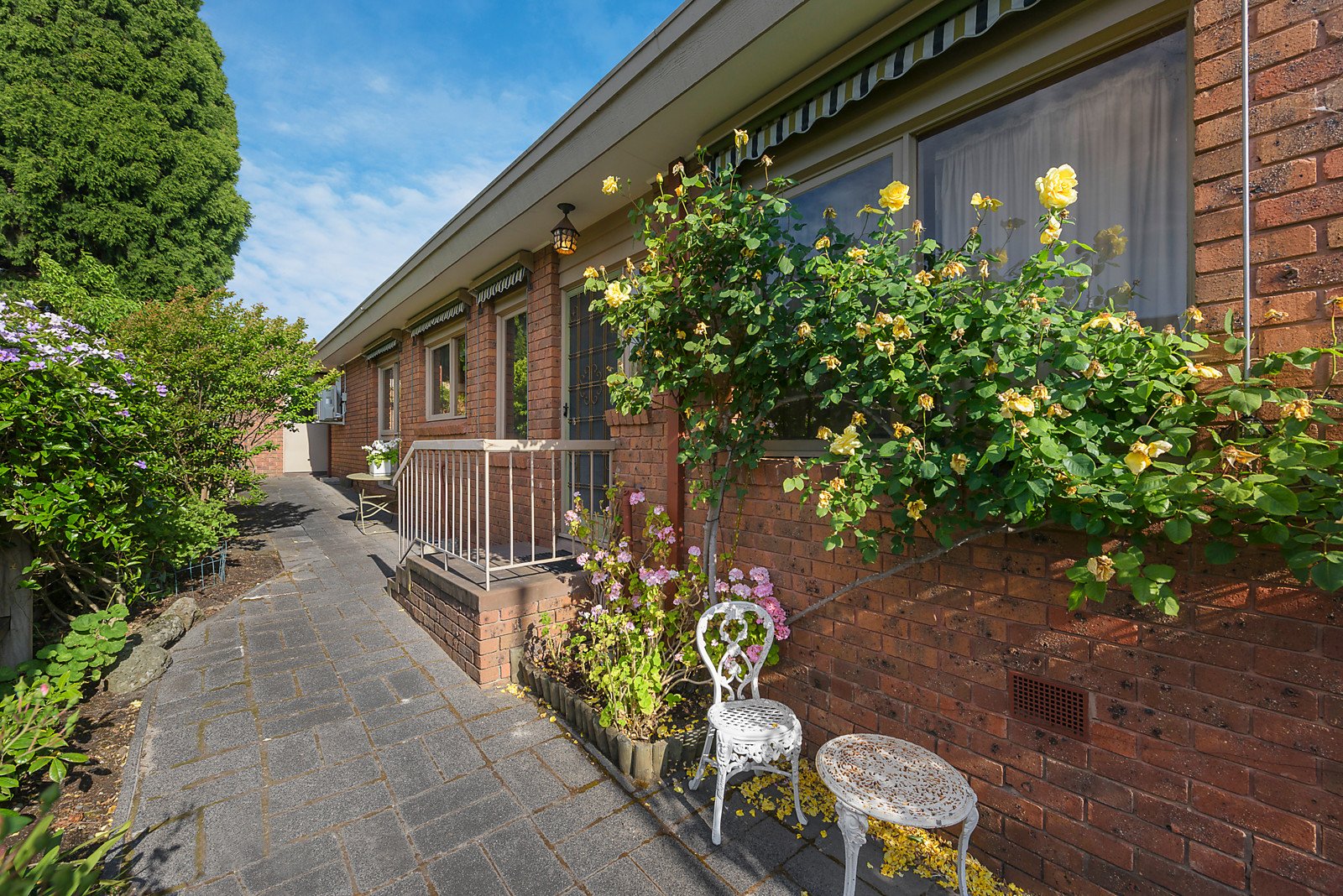 3/293 Mont Albert Road, Surrey Hills image 5