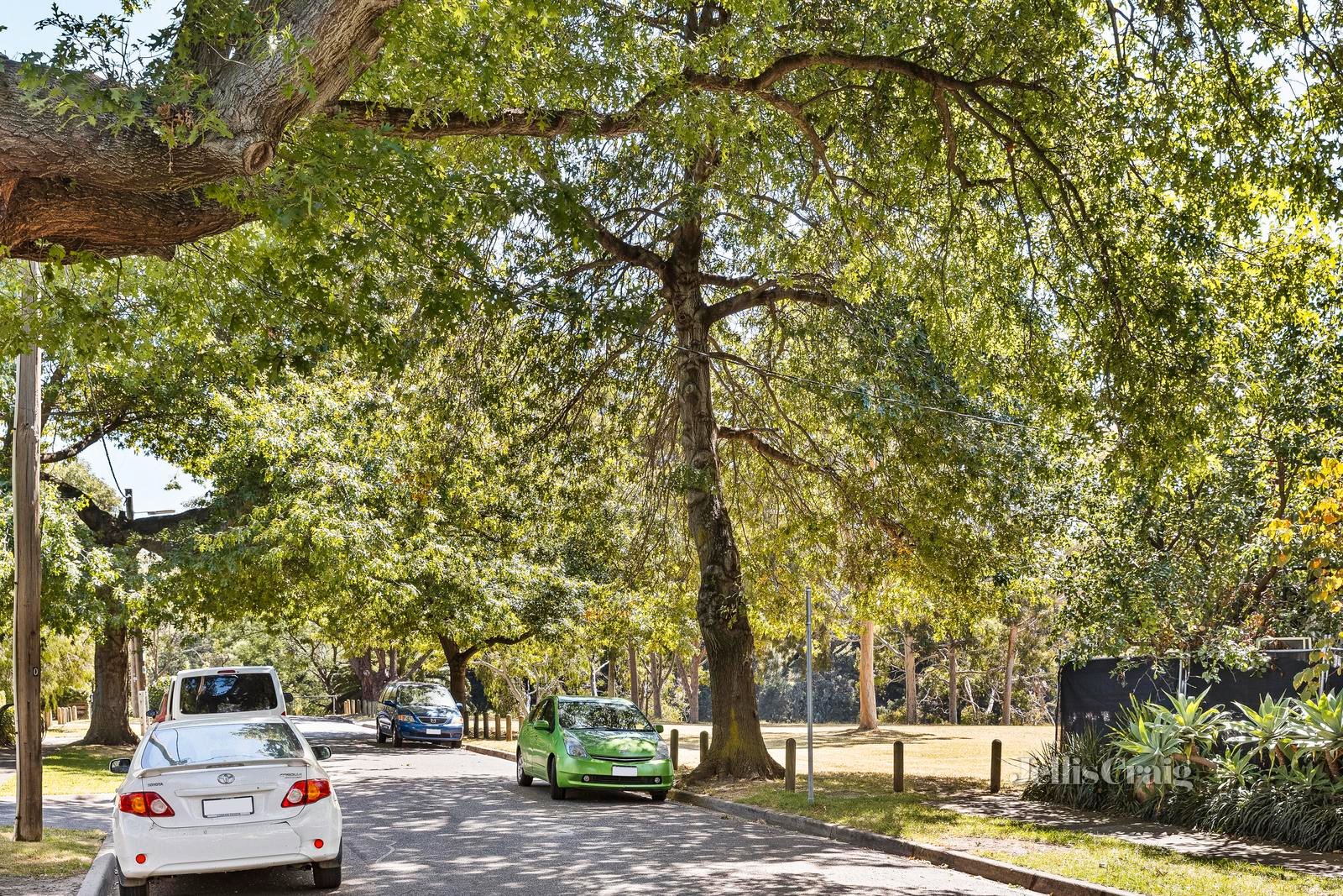 33 Fairview Street, Hawthorn image 4