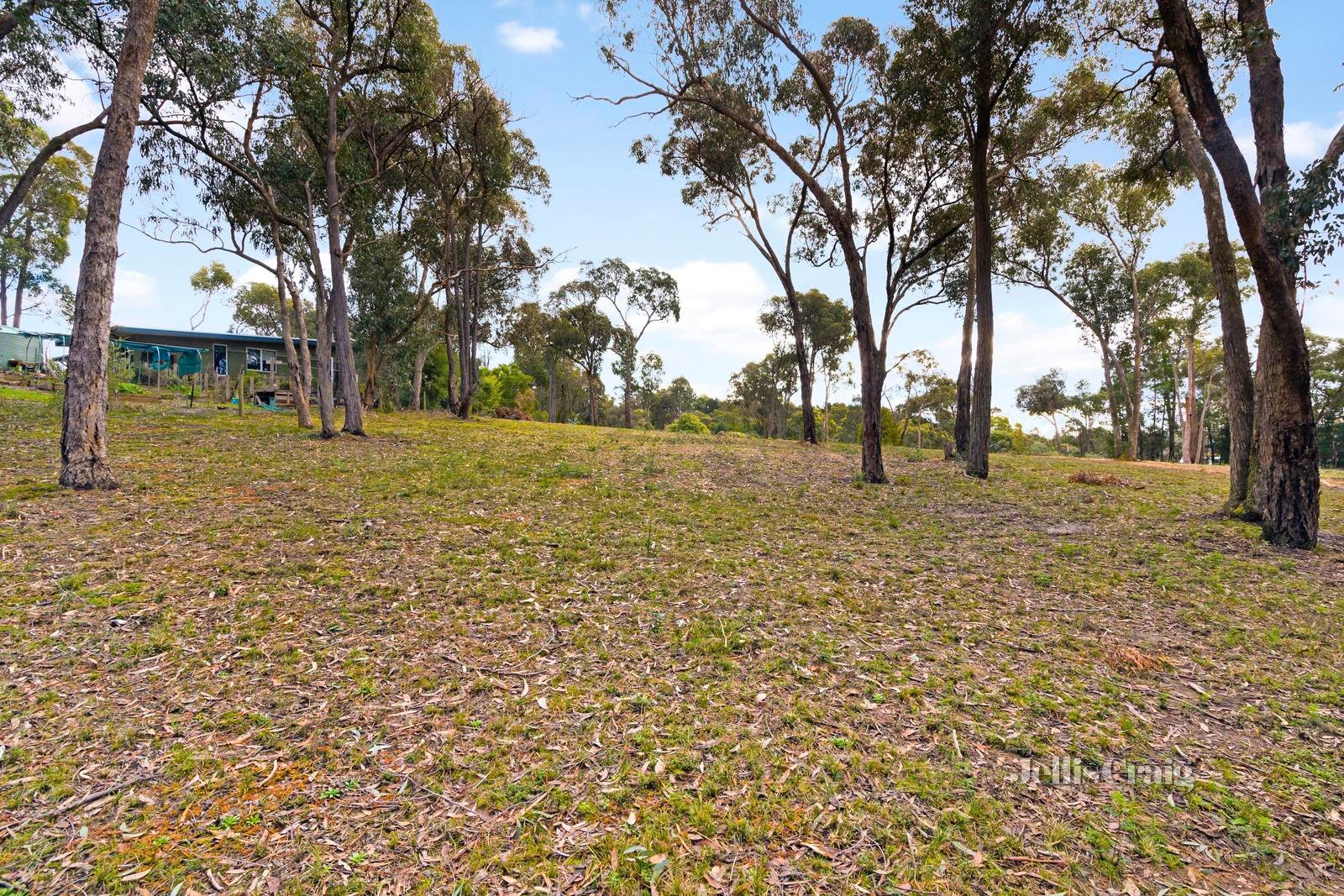 33 Fourteenth Street, Hepburn image 4