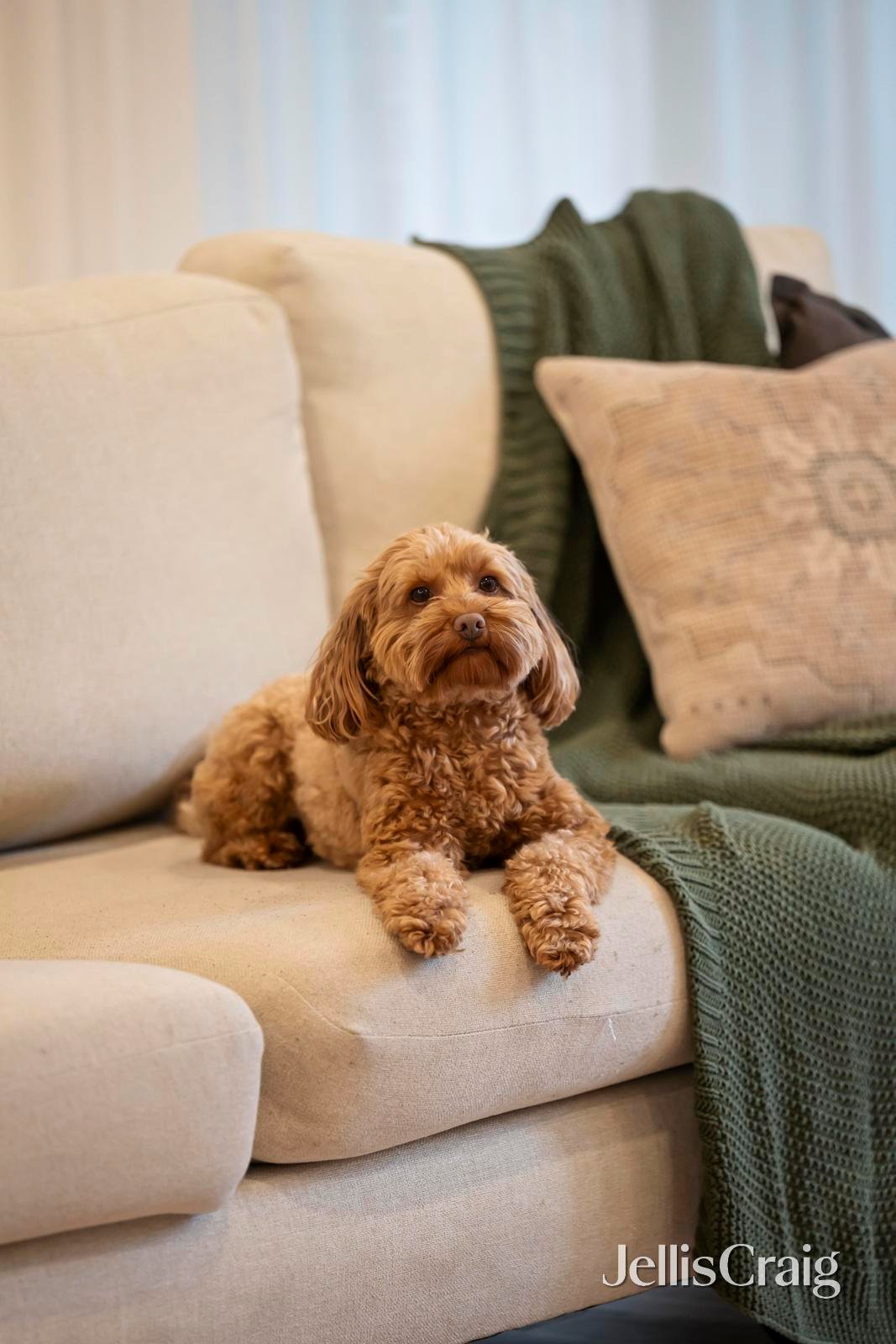 3/3 Garden Street, Ringwood image 4