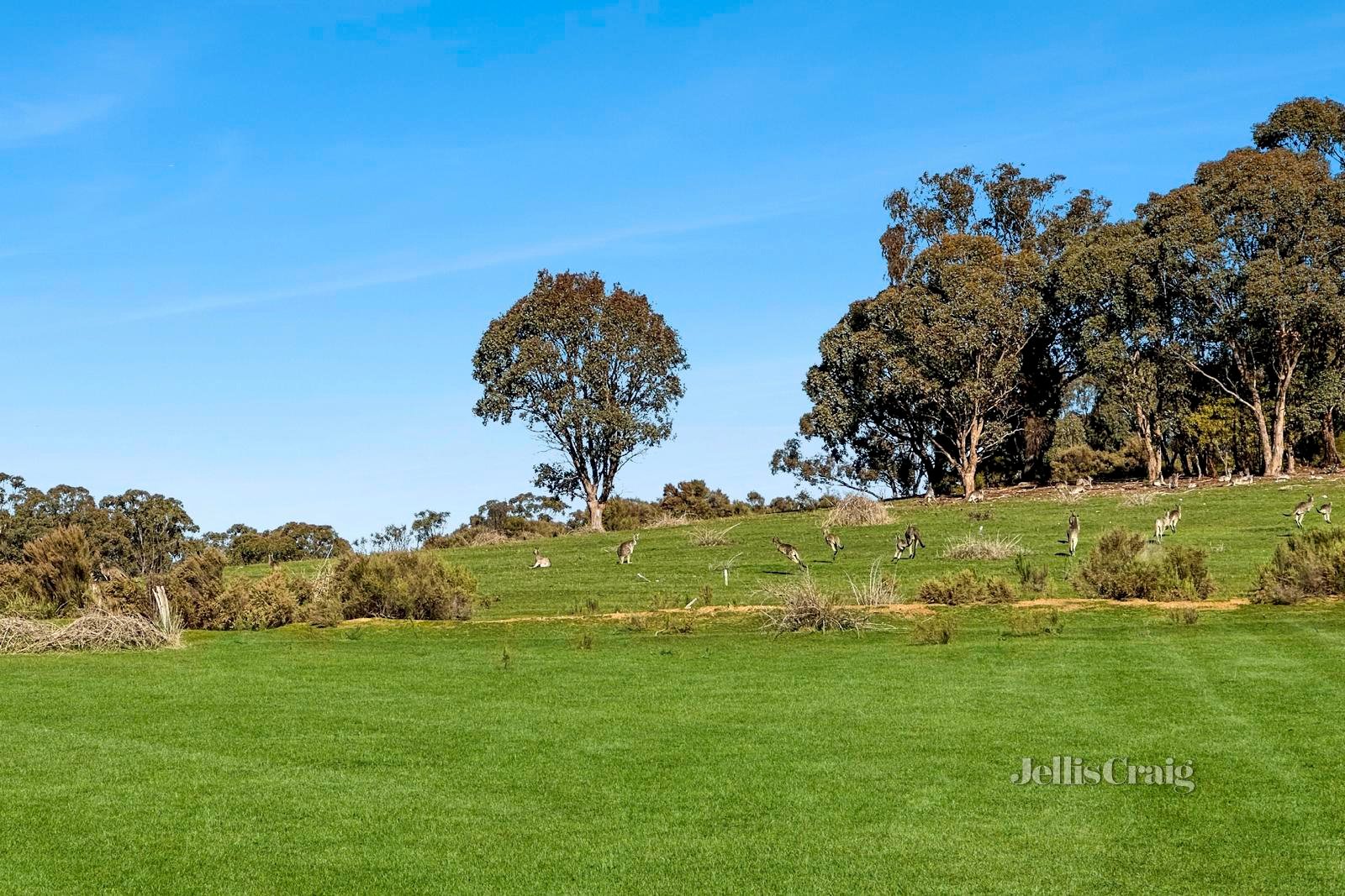 33 Gurri Drive, Campbells Creek image 8