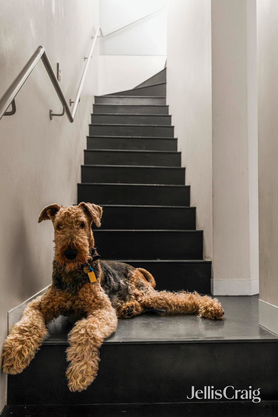 3/3 Hertford Street, Fitzroy image 10